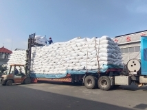 把握機(jī)遇、鉚足干勁、承勢(shì)而上